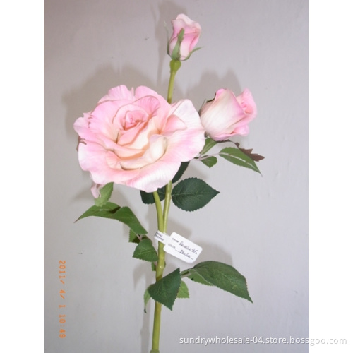 Rose Flower